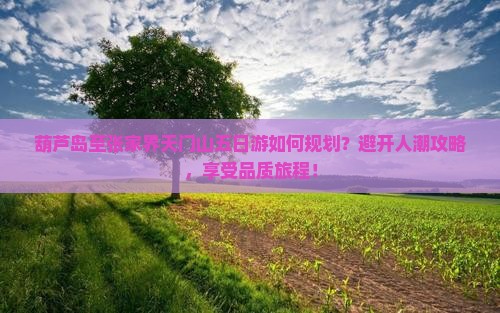 葫芦岛至张家界天门山五日游如何规划？避开人潮攻略，享受品质旅程！