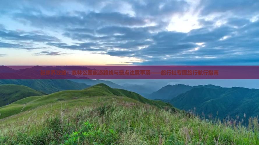 张家界攻略：森林公园旅游路线与景点注意事项——旅行社专属旅行航行指南