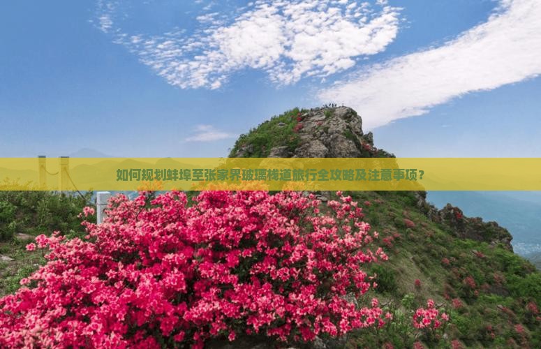 如何规划蚌埠至张家界玻璃栈道旅行全攻略及注意事项？
