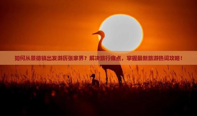 如何从景德镇出发游历张家界？解决旅行痛点，掌握最新旅游热词攻略！