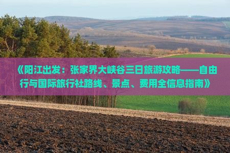 《阳江出发：张家界大峡谷三日旅游攻略——自由行与国际旅行社路线、景点、费用全信息指南》