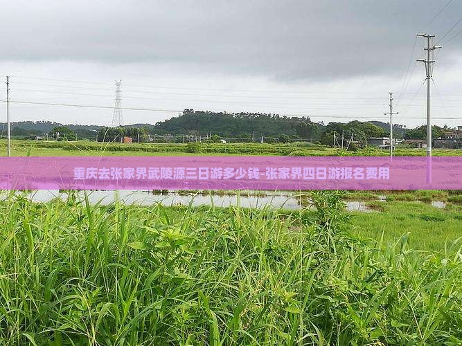 重庆去张家界武陵源三日游多少钱-张家界四日游报名费用