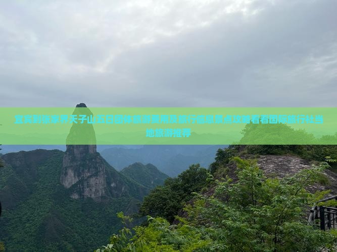 宜宾到张家界天子山五日团体旅游费用及旅行信息景点攻略看看国际旅行社当地旅游推荐
