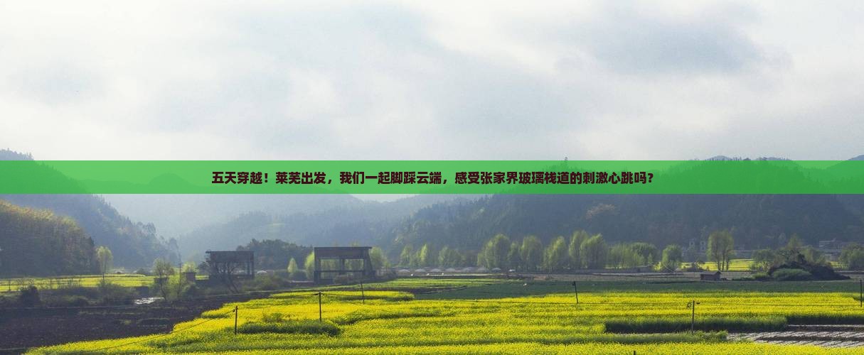 五天穿越！莱芜出发，我们一起脚踩云端，感受张家界玻璃栈道的刺激心跳吗？