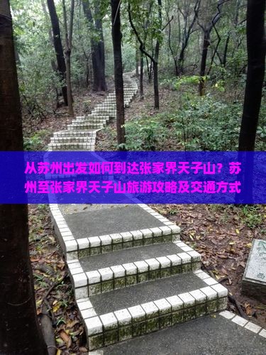 从苏州出发如何到达张家界天子山？苏州至张家界天子山旅游攻略及交通方式解析