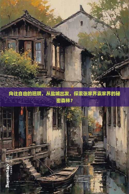 向往自由的翅膀，从盐城出发，探索张家界袁家界的秘密森林？