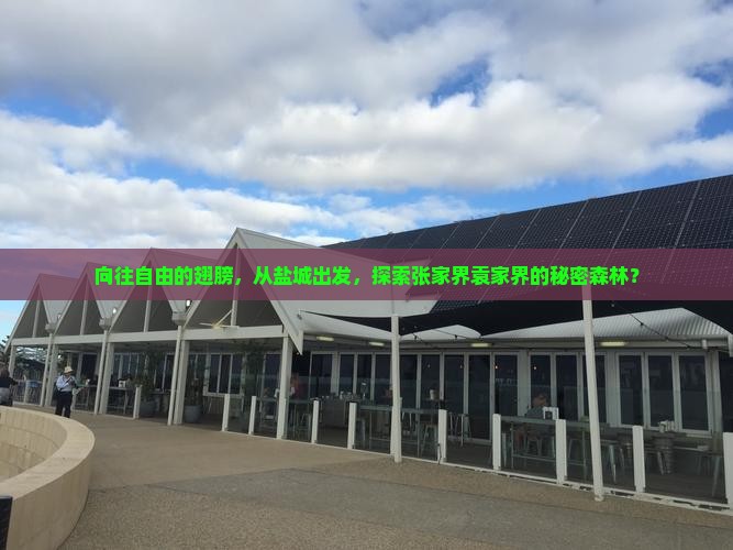 向往自由的翅膀，从盐城出发，探索张家界袁家界的秘密森林？