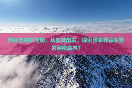 向往自由的翅膀，从盐城出发，探索张家界袁家界的秘密森林？