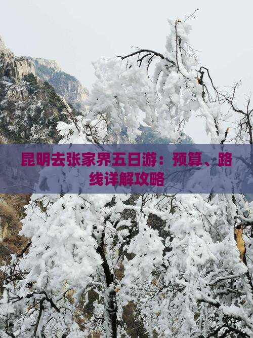 昆明去张家界五日游：预算、路线详解攻略