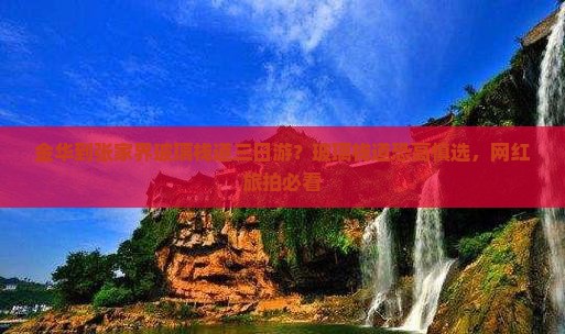金华到张家界玻璃栈道三日游？玻璃栈道恐高慎选，网红旅拍必看