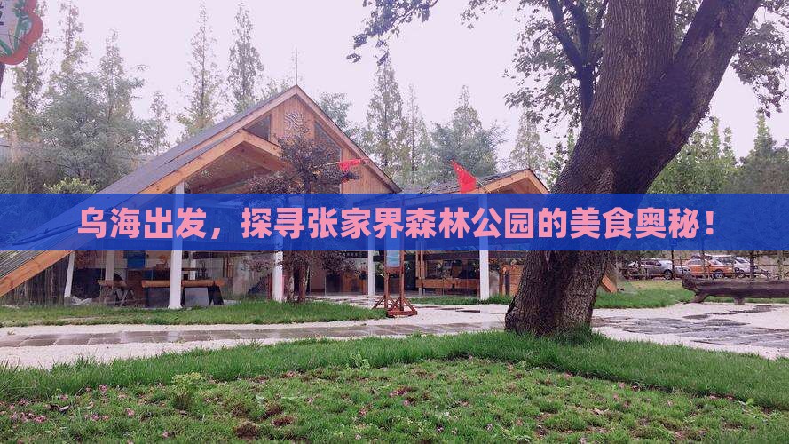 乌海出发，探寻张家界森林公园的美食奥秘！