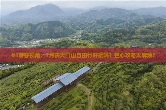 #1游客视角：7月去天门山自由行好玩吗？担心攻略太麻烦？