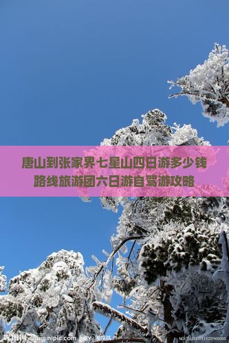 唐山到张家界七星山四日游多少钱路线旅游团六日游自驾游攻略