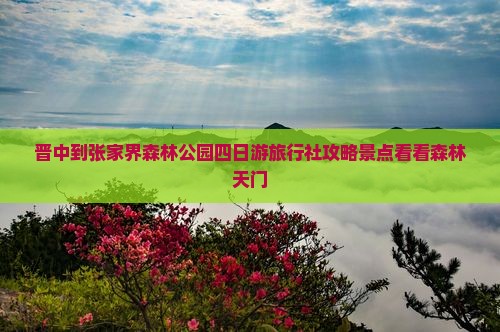 晋中到张家界森林公园四日游旅行社攻略景点看看森林天门