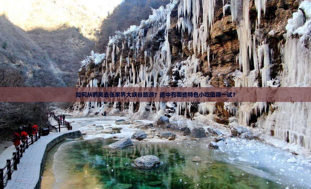 如何从鹤岗去张家界大峡谷旅游？途中有哪些特色小吃值得一试？