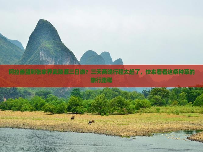 阿拉善盟到张家界武陵源三日游？三天两晚行程太赶了，快来看看这条种草的旅行路稀