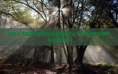 如何从乌海市出发前往张家界天子山？有哪些必玩景点与旅游攻略？