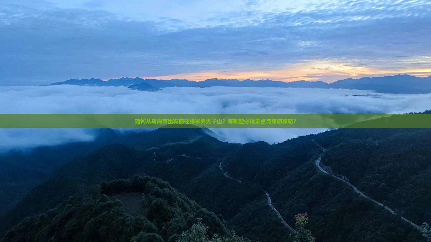 如何从乌海市出发前往张家界天子山？有哪些必玩景点与旅游攻略？