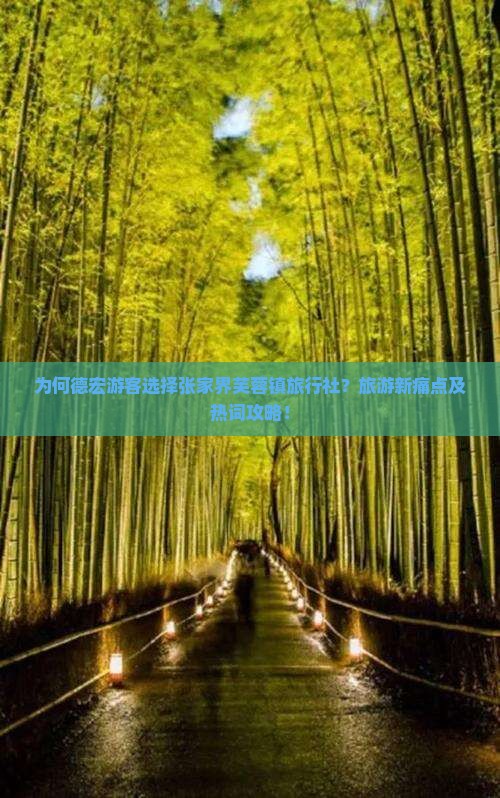 为何德宏游客选择张家界芙蓉镇旅行社？旅游新痛点及热词攻略！