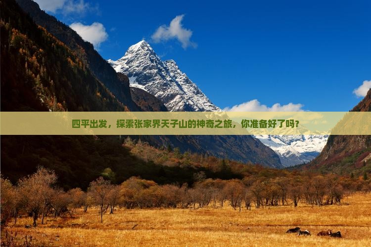 四平出发，探索张家界天子山的神奇之旅，你准备好了吗？