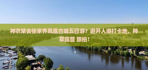 神农架去张家界凤凰古城五日游？避开人潮打卡地，种草露营+旅拍！