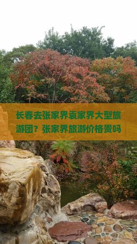 长春去张家界袁家界大型旅游团？张家界旅游价格贵吗？ locals推荐必游路线
