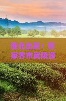 淮北出发：张家界市武陵源景点深度旅游攻略