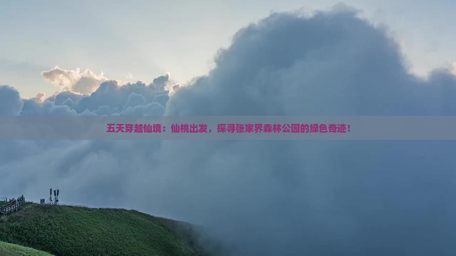五天穿越仙境：仙桃出发，探寻张家界森林公园的绿色奇迹！