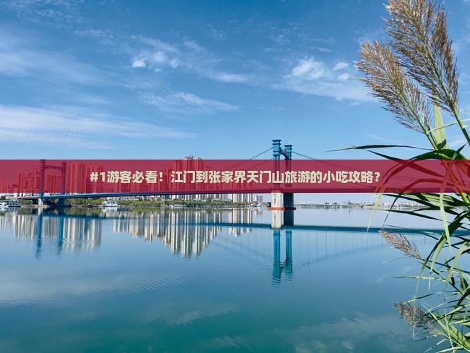 #1游客必看！江门到张家界天门山旅游的小吃攻略？