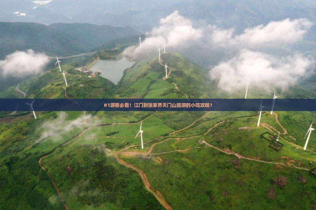#1游客必看！江门到张家界天门山旅游的小吃攻略？