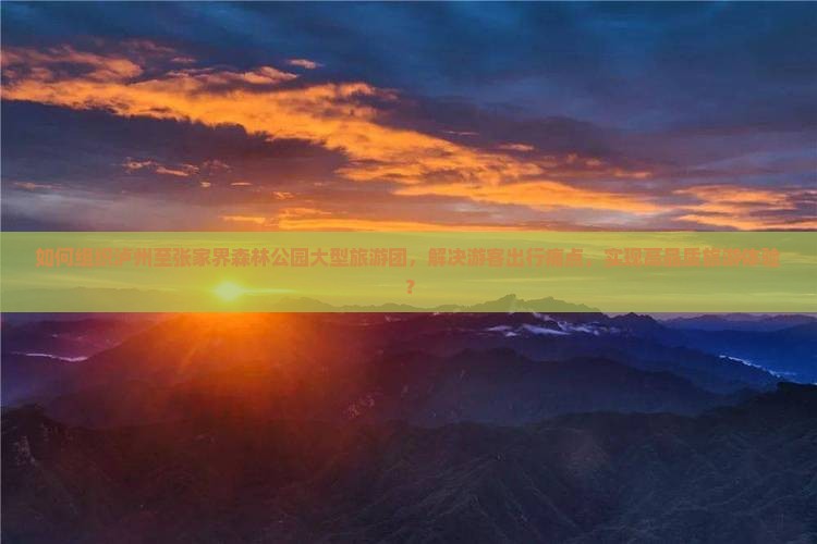 如何组织泸州至张家界森林公园大型旅游团，解决游客出行痛点，实现高品质旅游体验？