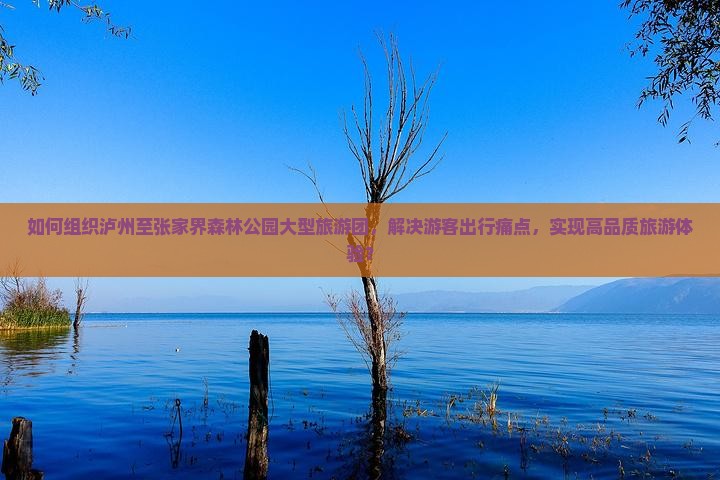 如何组织泸州至张家界森林公园大型旅游团，解决游客出行痛点，实现高品质旅游体验？