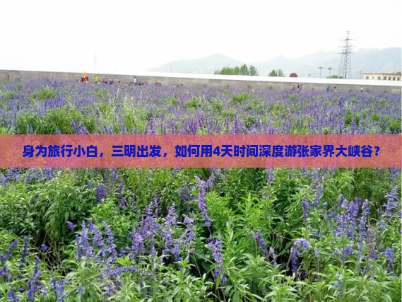 身为旅行小白，三明出发，如何用4天时间深度游张家界大峡谷？