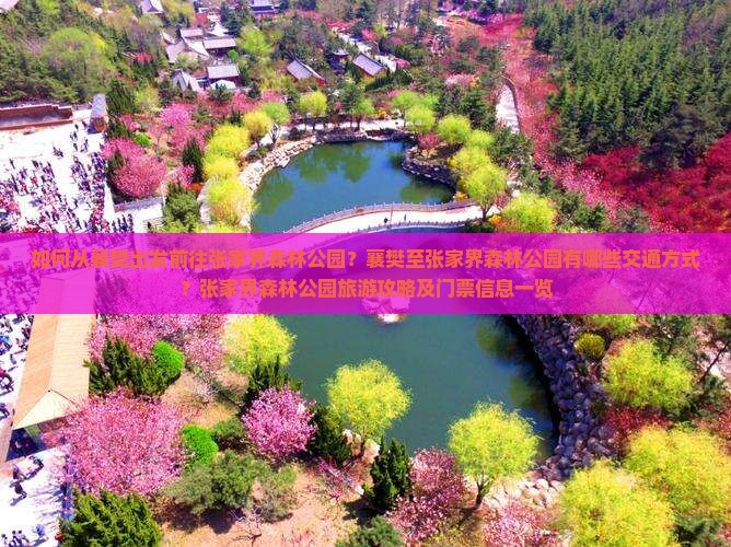 如何从襄樊出发前往张家界森林公园？襄樊至张家界森林公园有哪些交通方式？张家界森林公园旅游攻略及门票信息一览