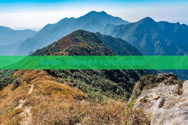 探索郑州，追寻张家界天子山的四日奇遇之旅！