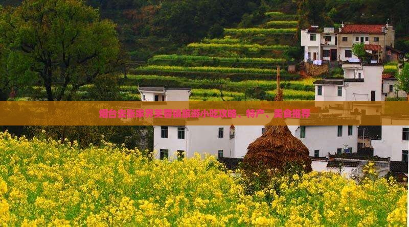 烟台去张家界芙蓉镇旅游小吃攻略、特产、美食推荐
