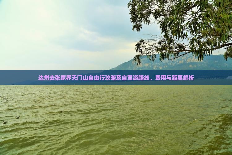达州去张家界天门山自由行攻略及自驾游路线、费用与距离解析