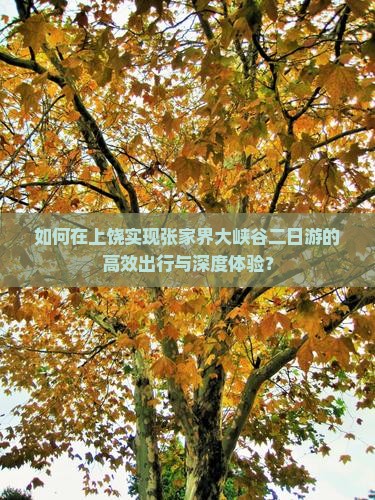 如何在上饶实现张家界大峡谷二日游的高效出行与深度体验？