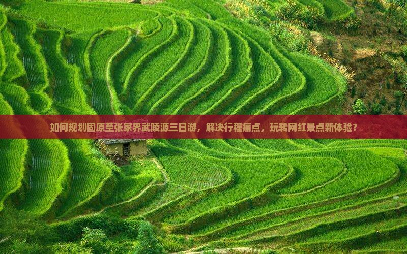 如何规划固原至张家界武陵源三日游，解决行程痛点，玩转网红景点新体验？