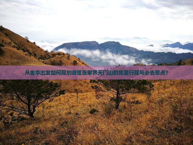 从金华出发如何规划游览张家界天门山的完整行程与必去景点？