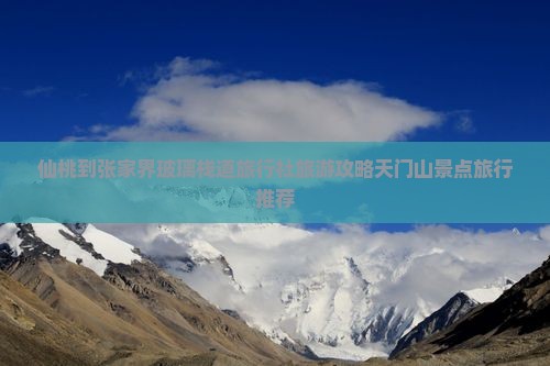 仙桃到张家界玻璃栈道旅行社旅游攻略天门山景点旅行推荐
