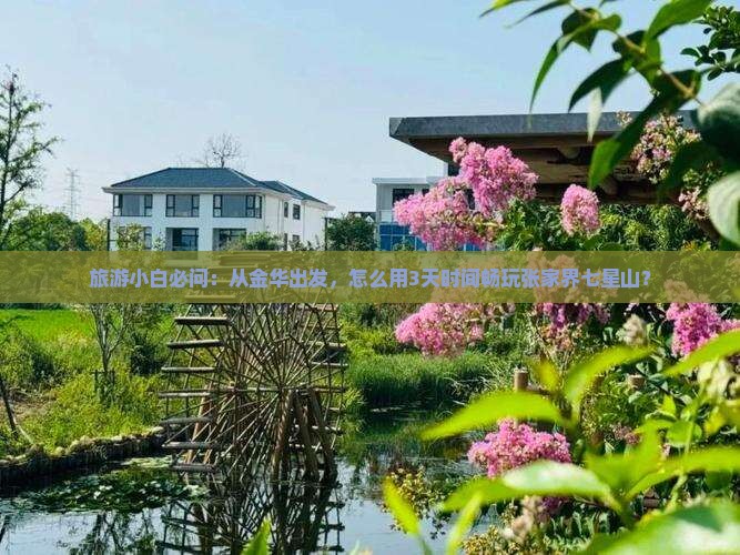 旅游小白必问：从金华出发，怎么用3天时间畅玩张家界七星山？