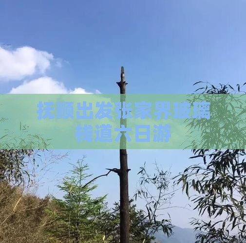 抚顺出发张家界玻璃栈道六日游