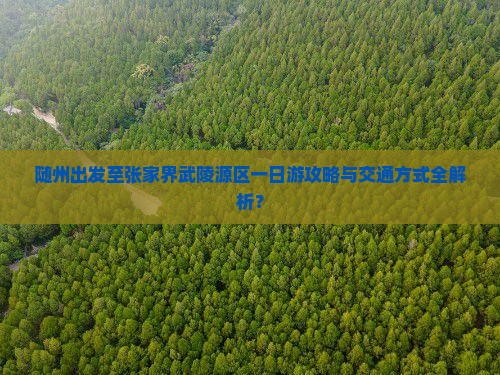 随州出发至张家界武陵源区一日游攻略与交通方式全解析？