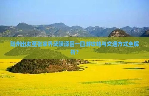 随州出发至张家界武陵源区一日游攻略与交通方式全解析？