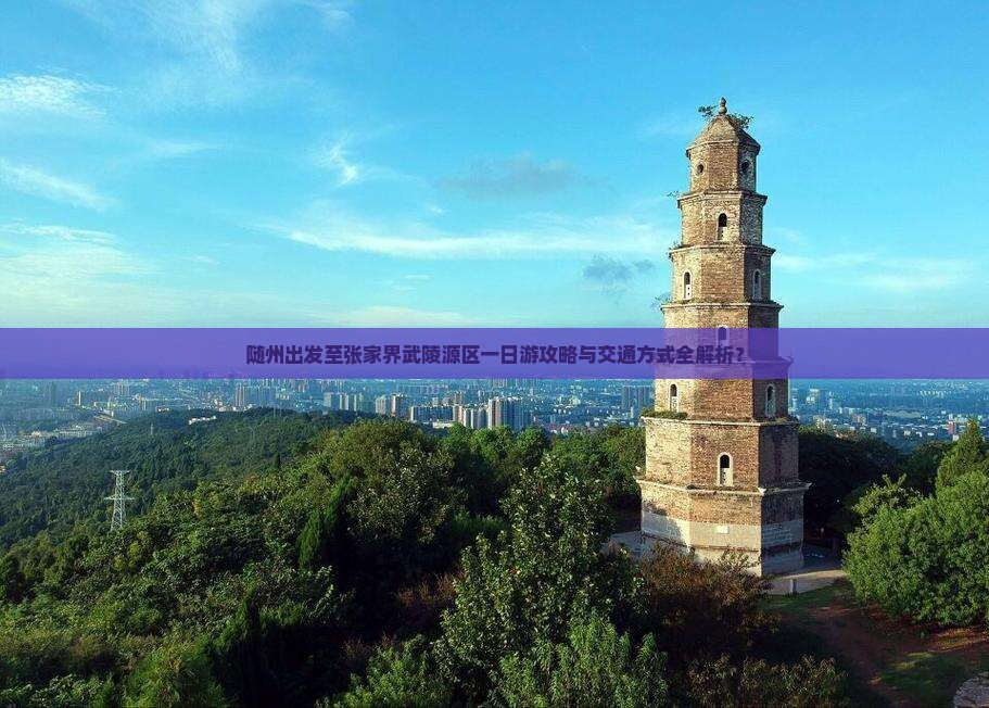 随州出发至张家界武陵源区一日游攻略与交通方式全解析？