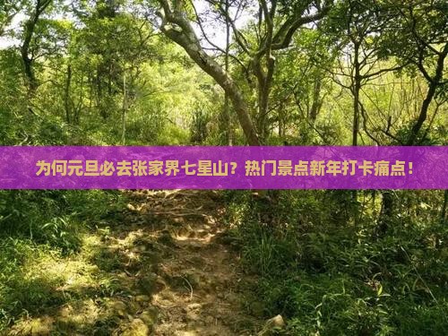 为何元旦必去张家界七星山？热门景点新年打卡痛点！