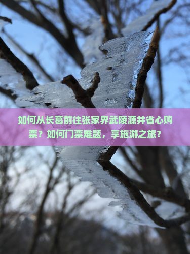 如何从长葛前往张家界武陵源并省心购票？如何门票难题，享施游之旅？