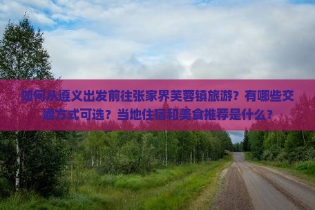 如何从遵义出发前往张家界芙蓉镇旅游？有哪些交通方式可选？当地住宿和美食推荐是什么？