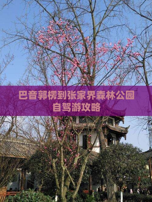 巴音郭楞到张家界森林公园自驾游攻略